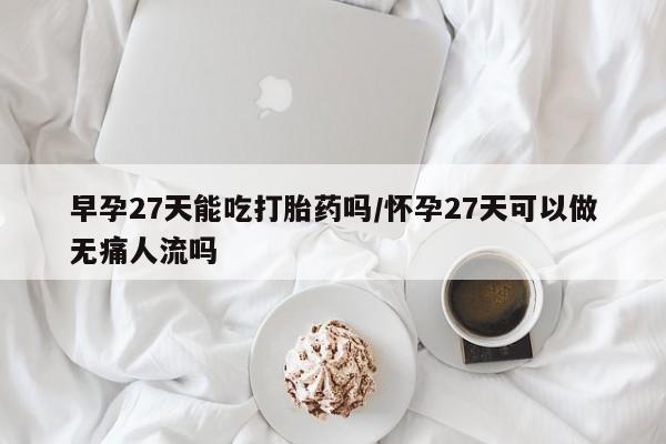 米非司酮片在线下单药店早孕27天能吃打胎药吗/怀孕27天可以做无痛人流吗