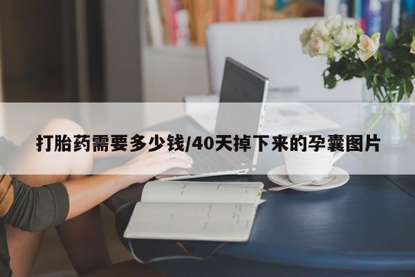 米非司酮片在线下单药店打胎药需要多少钱/40天掉下来的孕囊图片